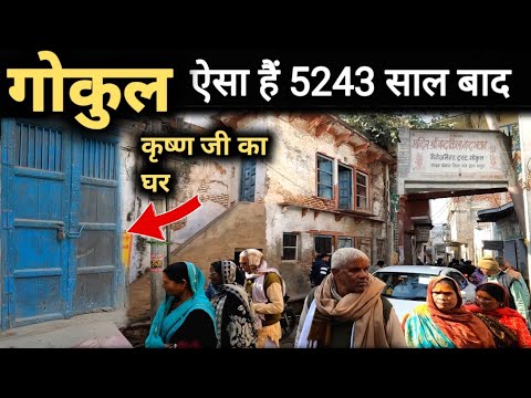 Gokul Tour | गोकुल परिक्रमा, कृष्ण जी का घर | Gokul Tour Budget, Itinerary | Gokul Tour By MSVlogger