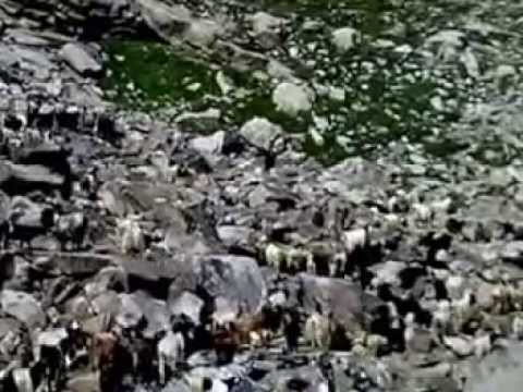 rangeland of Kantiwa Nuristan with Nuristani Music..د نورستان څر ننداره