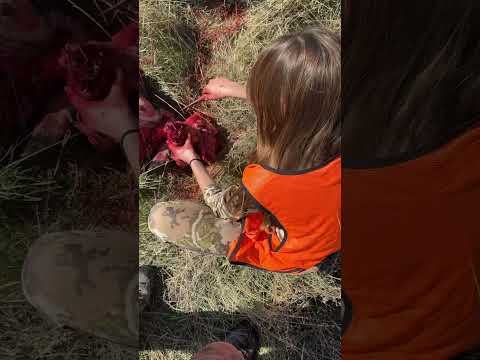 Steve’s daughter salvaging the heart meat from her second buck.