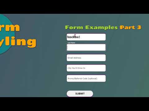 CIS 295 Class Demo - Styling Web Forms (Moving Label Text)   Part 3