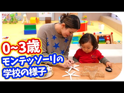 【0歳〜3歳向け】自宅で簡単に真似できるモンテッソーリの学校の授業