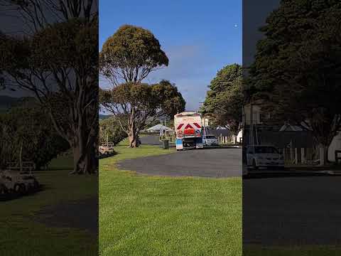 GARBAGE COLLECTION IN NEW ZEALAND #short #shorts #shortsfeed #shortsvideo #shortsyoutube