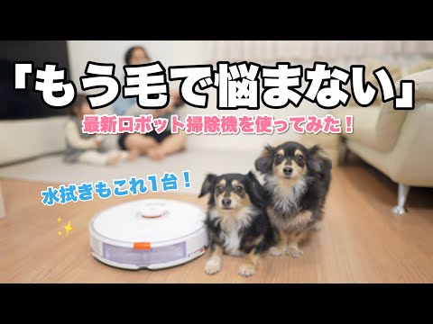 もう犬の毛に悩まない！最強ロボット掃除機RoBorockS7+全機能紹介！