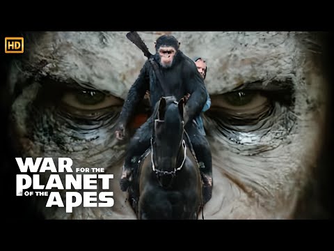 War for the Planet of the Apes (2017) Movie Action | Andy Serkis, Woody Harrelson | Review