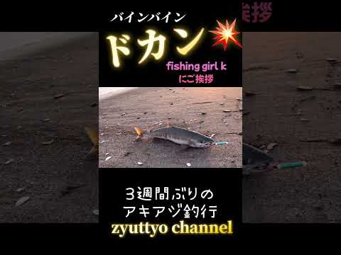 【北海道】【釣り】朝陽にお祈りその後！ドカン！Fishinggirlにご挨拶！#shorts#北海道#釣り#アキアジ釣り#鮭釣り#サケ釣り#シャケ釣り#fishing#オホーツク