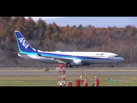 " 紅葉が美しい新千歳でウイングレットにANAロゴが入った738を撮る!! " All Nippon Airways(ANA) Boeing737-800 JA88AN