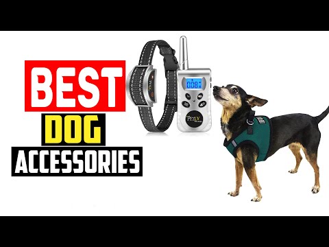 ✅Best dog accessories in 2023