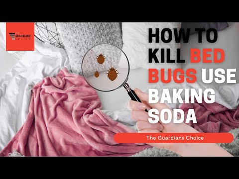 How to Kill Bed Bugs Using Baking Soda | The Guardians Choice