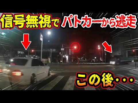 【ドラレコ】信号待ちの隣の車がサイレン音を聞いて突然走り出す衝撃の瞬間【交通安全推進、危機予知トレーニング】【スカッと】