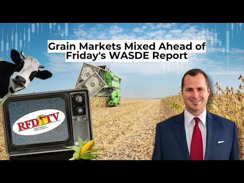 Grain Markets Mixed Ahead of Friday's WASDE Report