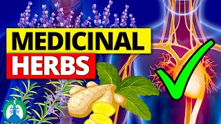 🌱Top 10 Most POWERFUL Medicinal Herbs (Backed by Science)