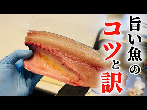 【必ず見て】あなたの魚捌きの間違いが全てこの動画で解決します。