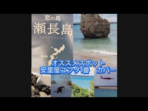 沖縄県豊見城市🏝瀬長島オススメスポット🌴🌺✈