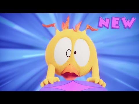 (NEW) The Spinning Top Arena | Where's Chicky? 4 | Cartoon in English for Kids | New episodes HD