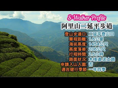 S隨談｜嘉義阿里山二延平步道｜週日分享版