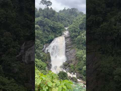 #munnardiaries #munnar #nature #travel #music #peace #shorts #youtubeshorts #waterfall #kerala #tour