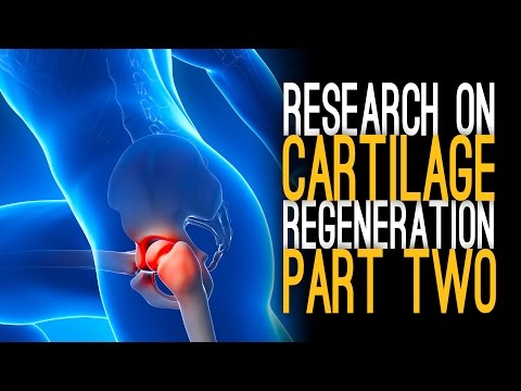 Cartilage Regeneration with Dr. Zeng [Part 2]