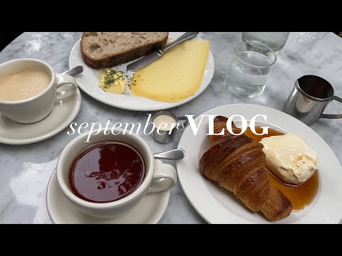 Aligner Update, Kitchen Reveal, Outfits, back to Socializing | Monatsvlog September | Nisi