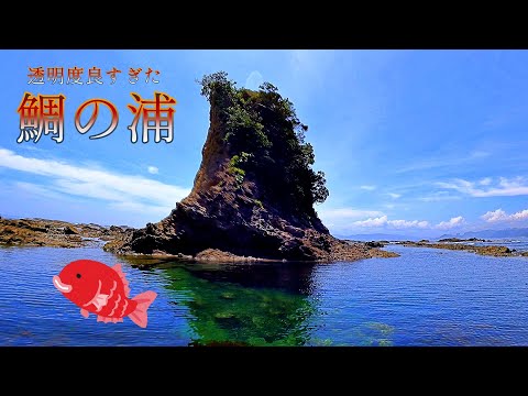 【鴨川】鯛の浦近くの透明度最高ポイント【小弁天島・大弁天島】