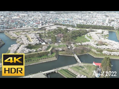 [4K HDR] 函館 五稜郭の桜 + 四稜郭 2022 / Cherry blossoms of Hakodate Goryokaku + Shiryokaku (Hokkaido, Japan)