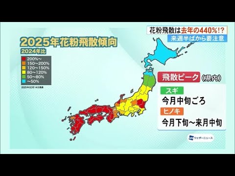 今年の花粉はヤバイ《去年の440%！？》「マスクを二重に」「40年の付き合い」オススメグッズは (25/03/06 19:00)