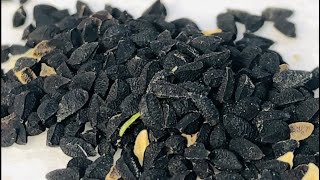 GROW CUMIN | It’s EASY