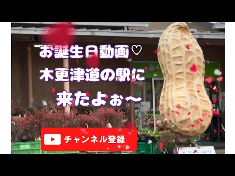 お誕生日旅行動画❣️#58