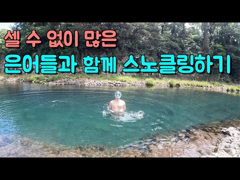 계곡물과 바닷물이 만나서 생긴 아주 특별한 계곡