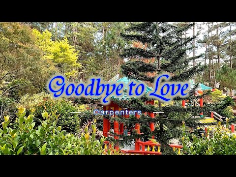 GOODBYE TO LOVE - (Karaoke Version) - in the style of Carpenters