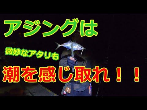 【アジング】激渋でも釣れる！微妙な引かないアタリも潮を感じ取れば必ず釣れる！！