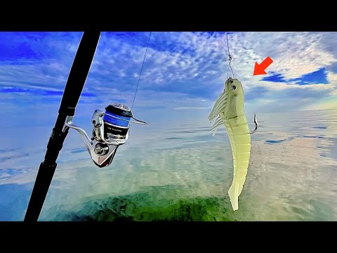 Fishing this *HUGE* SHRIMP JIG! in the BAY for GIANTS! [EPIC RESULTS]