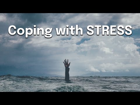 Strategy to combat stress and anxiety