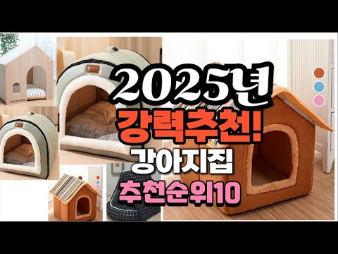 2025년 가장많이 팔릴 강아지집  추천 베스트10