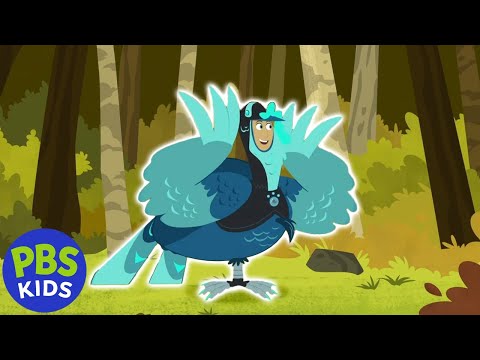 Wild Kratts | Gourmand's Turkey Hunt | PBS KIDS