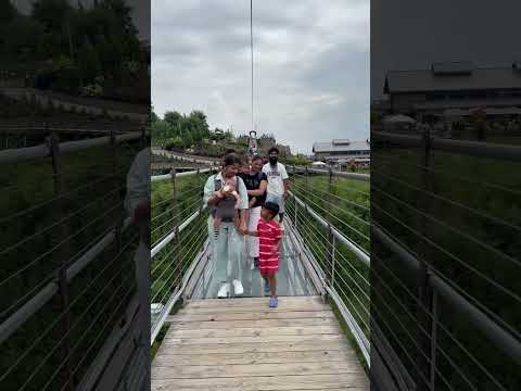 skybridge at Tennessee #familytime#foryou#travel #followback#sky#forest