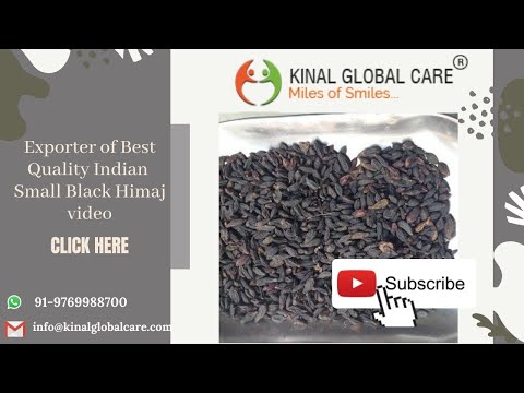 Indian Small Black Himaj