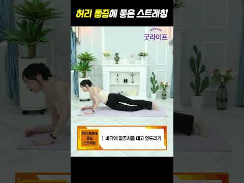 허리 통증에 좋은 스트레칭! - 세모핏 #shorts #허리통증 #굿라이프