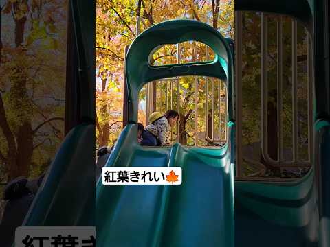 双子と紅葉すべり台🍁ふたりいっしょに...?!👶👶2歳5ヶ月双子