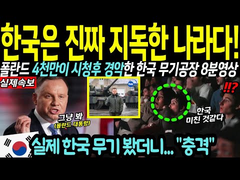 "한국사람 진짜 무섭다!" 역대 최고 시청률 찍어버린 한국 영상, 폴란드 4천만을 뒤집은 한국 영상에 전세계 시청자들 덩달아 경악