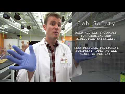 Safety In The Lab 101