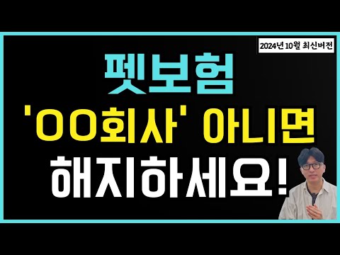 펫보험 추천 'OO회사' 아니면 차라리 가입하지 마세요! ( 보험료 비교 / 100점짜리 설계안 공개! )