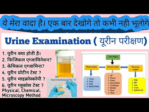 Urine Examination (Analysis) | Physical | Chemical | Microscopy Examination of Urine | Protein Test?