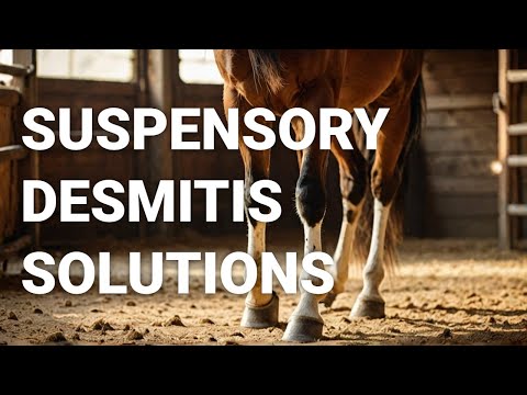 Suspensory Desmitis in Horses 🐎💥: What It Is & How to Treat It for a Strong Recovery 🏥🌟