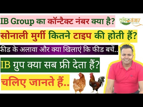 वह सब कुछ जो आपको जानना चाहिए! Raising Chickens: Everything You Need To Know!