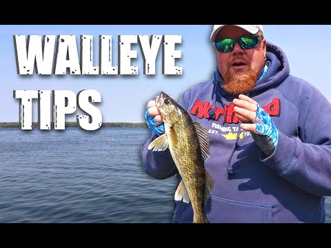 Walleye Tips: Location, Hooking a Minnow, Jigging Cadence & Boat Control