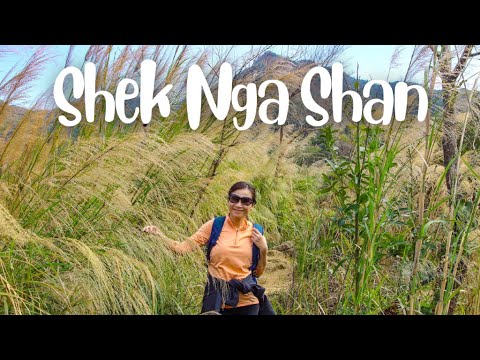 Climbing Shek Nga Shan - 14 Peaks in 14 Weeks