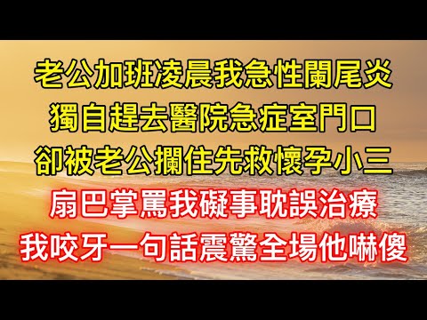 老公加班凌晨我急性闌尾炎，獨自趕去醫院急症室門口，卻被老公攔住先救懷孕小三，扇巴掌罵我礙事耽誤治療，我咬牙一句話震驚全場他嚇傻