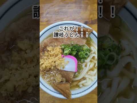 【讃岐うどん】これが讃岐うどん！！