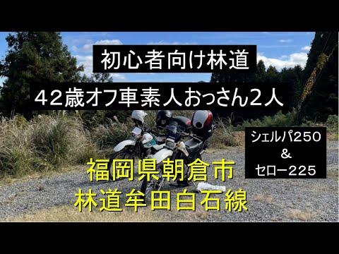 素人にも優しい林道　42歳おっさん2人　オフ車にハマりました。　福岡県朝倉市　林道牟田白石線　#林道　オフ車　#セロー