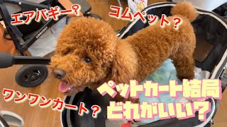 トイプードル多頭飼いに最適な犬用バギーってどれ？試乗したらトワ（ママ）が欲しいってねだってきました笑